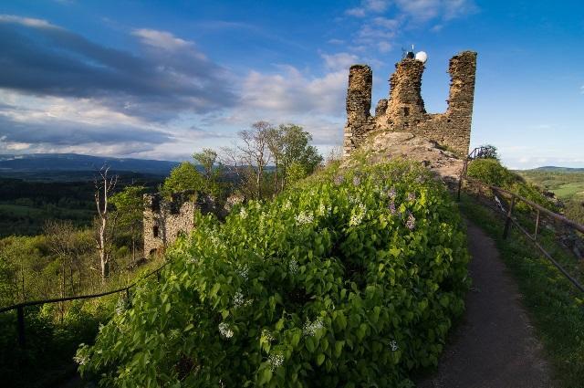 Pension Jezdecké centrum Kočík Struzna Exterior foto