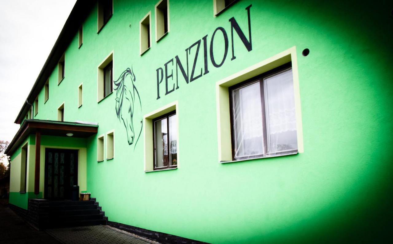 Pension Jezdecké centrum Kočík Struzna Exterior foto